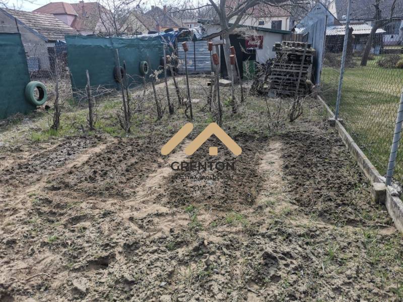 WhatsApp Image 2026-01-29 at 16.15.15 (5).jpeg