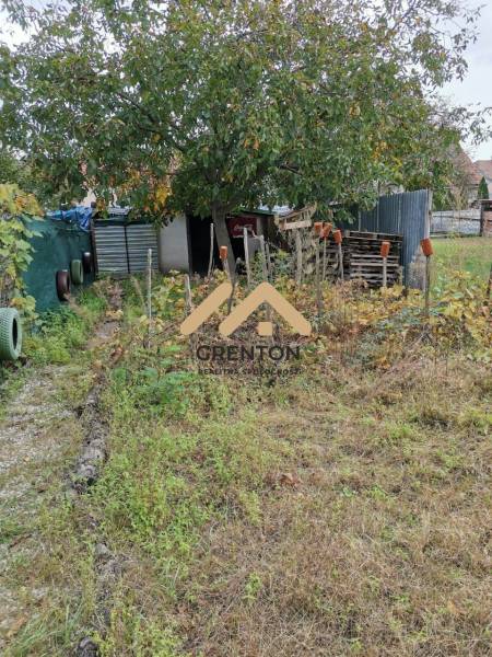 WhatsApp Image 2026-01-29 at 16.15.14 (5).jpeg