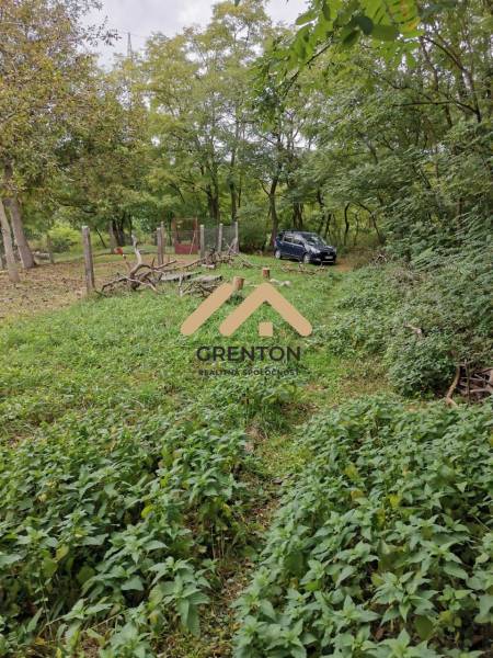 WhatsApp Image 2026-01-29 at 16.15.14 (2).jpeg