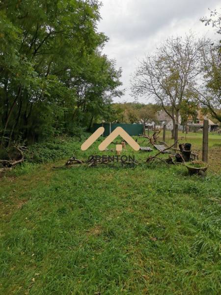 WhatsApp Image 2026-01-29 at 16.15.15.jpeg